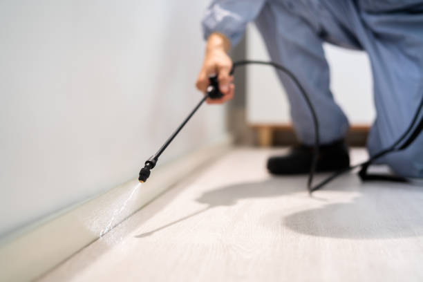 Certified termite inspector examining foundation in Warrensburg